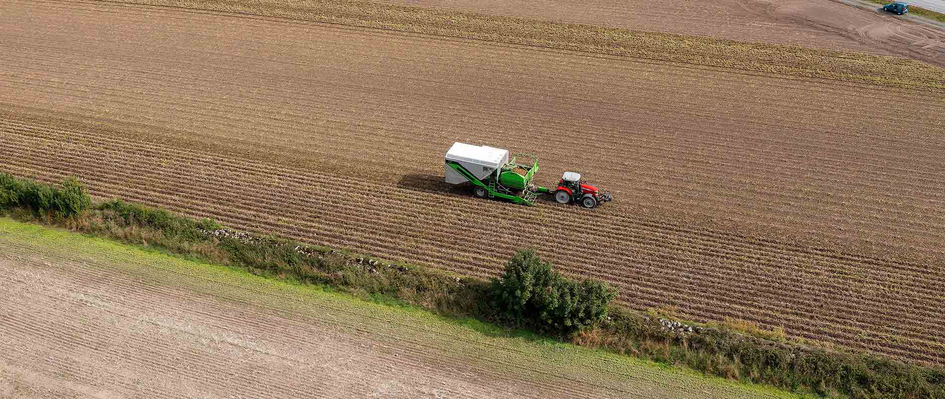 “探、收、烘、运”，看pp电子模拟器如何四管齐下一站式保障秋收果实