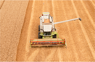 收——加大收割自动化力度，利用智能收获系统，保种保收，提产提质